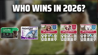 The Top 5 Best Flea Treatment in 2026 - Must Watch Before Bu