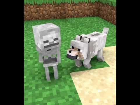 Monster School:Baby Skeleton and Dog Life - Story Minecraft Animation - (shorts version) #Shorts​ 3