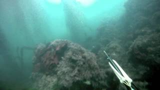 Pacific Grove sunset dip