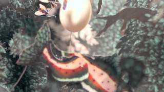 Hop Along - Tibetan Pop Stars