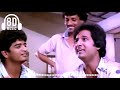 Botany Patamundi 8d Song