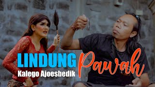 Download lagu lindung pawah -Kalego ajoesbedik( official video musik) mp3