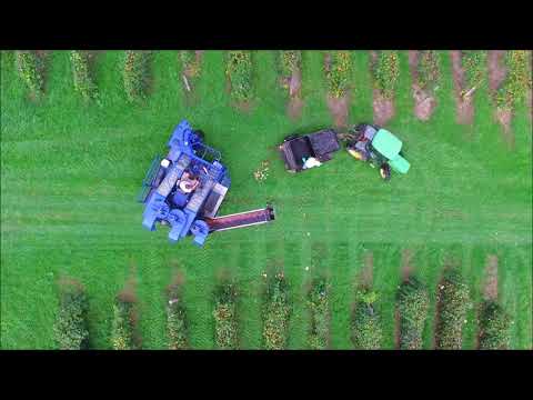 2018 10 11 Battle Vineyard grape picking day 2 Drone with music