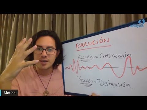 Day 327 INNOVATION - Matias De Stefano - English Edit