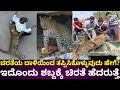 ಚಿರತೆ ದಾಳಿಯಿಂದ ತಪ್ಪಿಸಿಕೊಳ್ಳುವುದು ಹೇ�