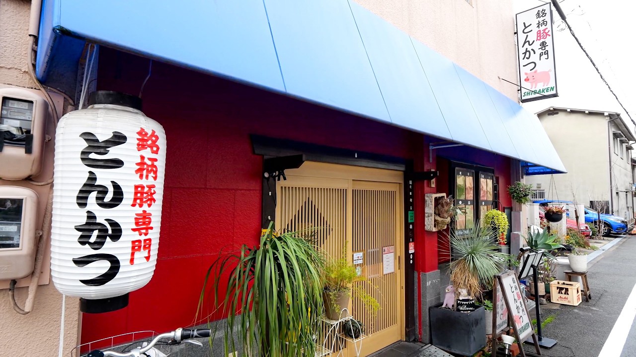 The $40 Premium Pork! Why This Rare Tonkatsu Only Yields 4 Servings