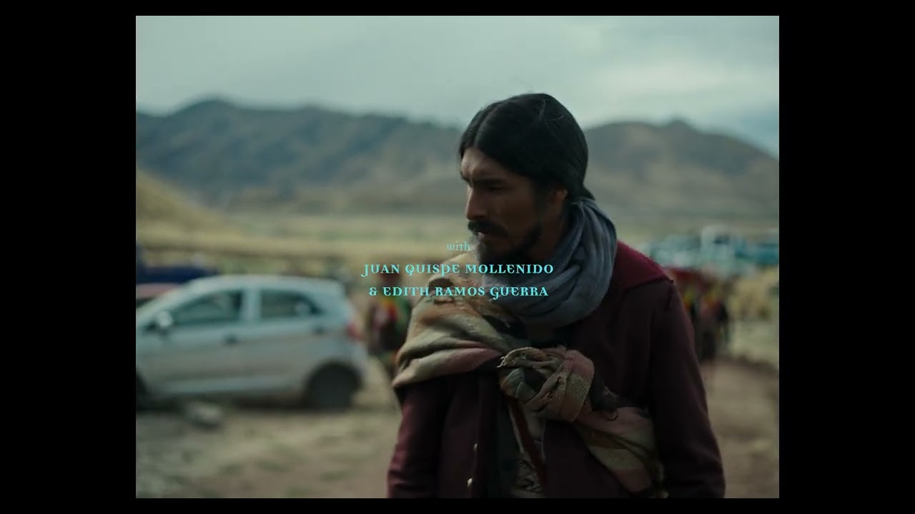 The Anatomy of the Horses Trailer