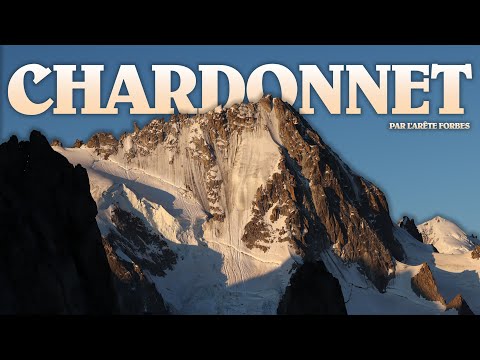 ⛏️ Aiguille du Chardonnet : Arête Forbes (2021)
