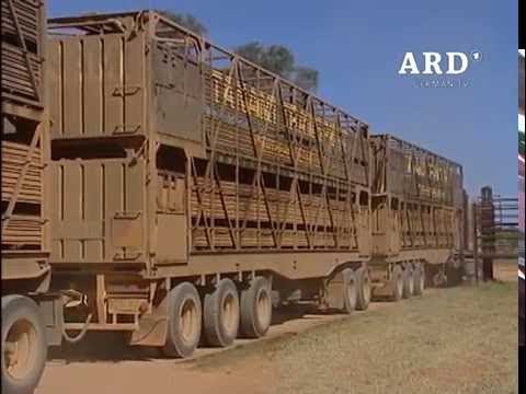 Das Rote Herz Australiens 31 12 2004