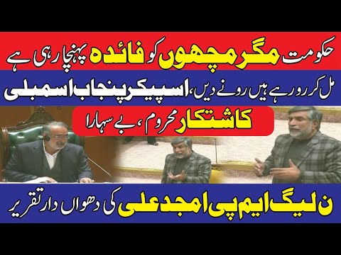 ن لیگ کے ایم پی اے کی پنجاب اسمبلی میں دھواں دار تقریر