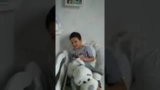 Falando sobre o seu animal preferido
