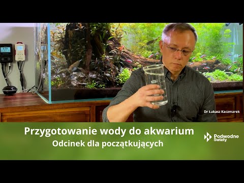 Jak przygotować wodę do akwarium? Poradnik akwarystyczny