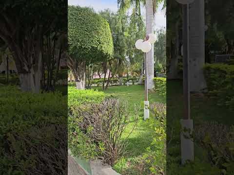 SÃO JOÃO DO PARAÍSO- MG #shorts