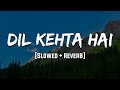 Dil Kehta Hai Slowed Reverb LoFi Mood 90 S