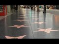 You Can T Step On This Star At Hollywood S Walk Of Fame