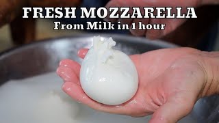 HOW TO MAKE FRESH MOZZARELLA REAL FROM SCRATCH | At Home Very Easy