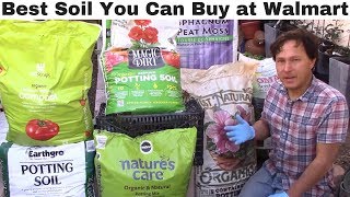 Best Vegetable Garden Soil You Can Buy at Walmart + What to Look For