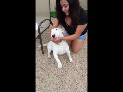 Upload practice video