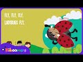Ladybugs Fly Lyric Video - The Kiboomers Preschool Songs & Nursery Rhymes