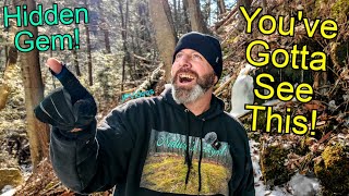 HIDDEN GEM in The Woods! What is it Wednesday?