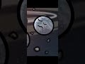 Insalata spin ￼￼