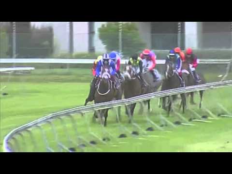 Watch Ertijaal (Hard Spun) win the G1 Cape Derby at Kenilworth, South Africa, 2015