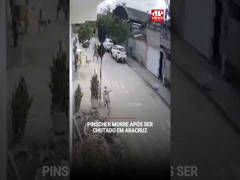 Pinscher morre após ser chutado em Aracruz