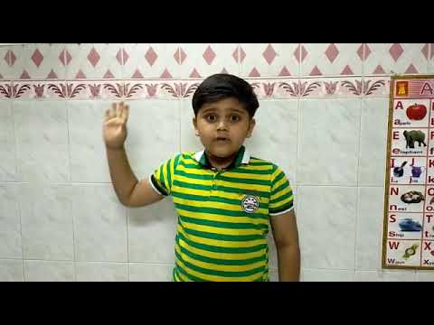 Zeel N musale  zeel n musale