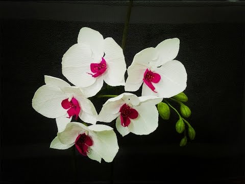 , title : 'ABC TV | How To Make Phalaenopsis Orchid From Crepe Paper - Craft Tutorial'