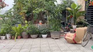 Cặp liền kề tổng 200m2 đất KĐG Lam Hạ, Sản Nhi mấy bước ra SUN cực đẹp! #sannhi #lamha #phuly #hanam