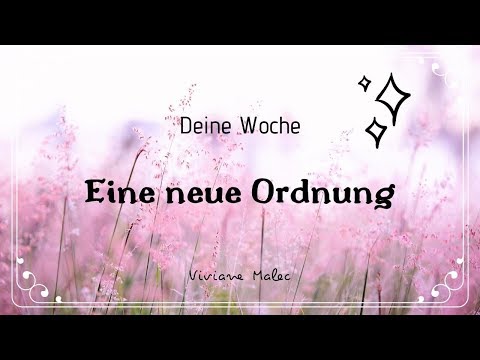 Deine WOCHE - Eine neue Ordnung (Struktur entsteht)