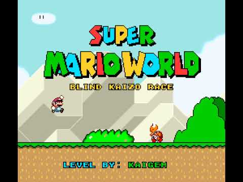 Blind Kaizo Race - Week 71 Level by kaigem