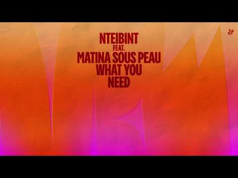 NTEIBINT feat. Matina Sous Peau - What You Need