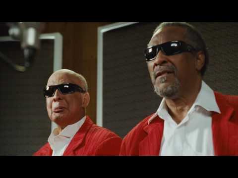 A splendid performance ：A genius bunny plus a blind band