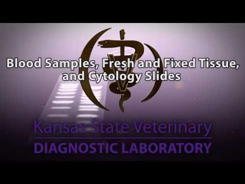 Packaging Tips: Blood Samples,Fresh and Fixed Tissue, and Cytology Slides