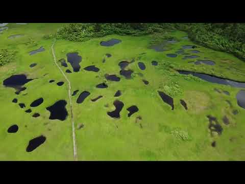 初夏の小松原湿原トレッキングの様子