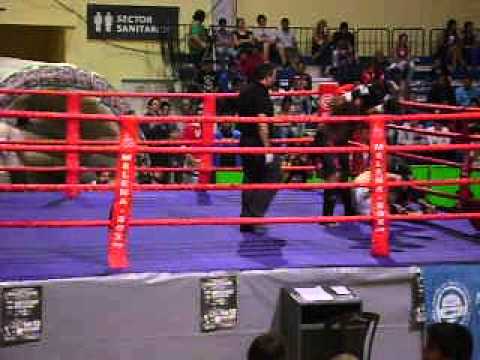 kick boxing Cnel Vidal