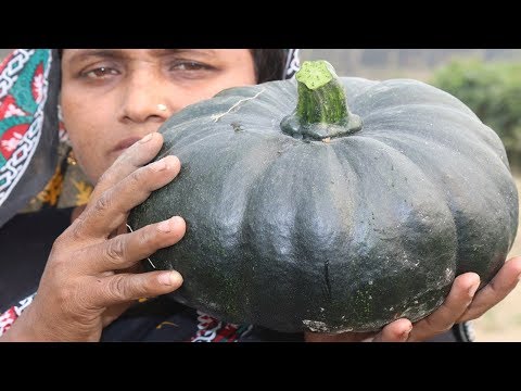 Village Food FARM FRESH PUMPKIN RECIPE Yummy PUMPKIN Curry Fresh Green Pumpkin and Shrimp Cooking Video