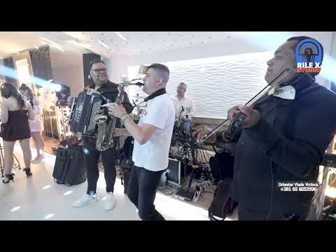 VLADA VRCINAC I STRASNI UVODNI SPLET VESELJE U PORODICI ALEKSIC NIKOLIN 18. RODJENDAN ARANDJELOVAC