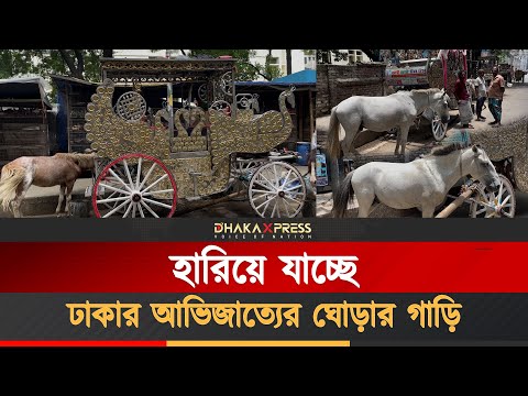 বিলুপ্তির পথে পুরান ঢাকার শতবর্ষী ঐতিহ্য—ঘোড়ার গাড়ি