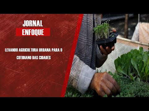 Renato Prado do Projeto BAAU fala dos programas Banco de Alimentos