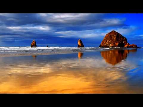 Reflekt Feat. Delline Bass - Need To Feel Loved Tropical Paradise