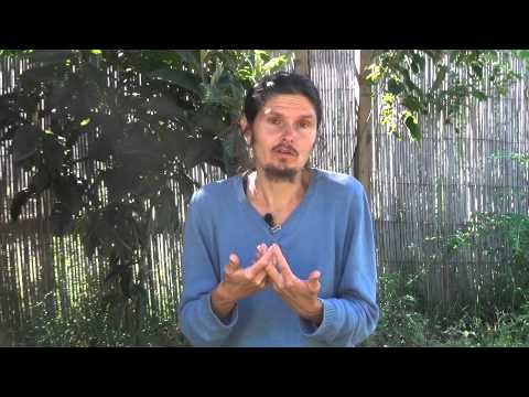 comment traiter le manque de vitamine d