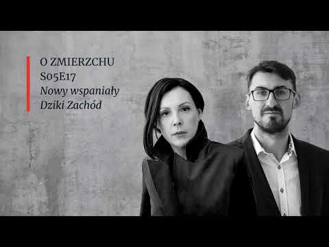 S05E17 Nowy wspaniały Dziki Zachód - O Zmierzchu