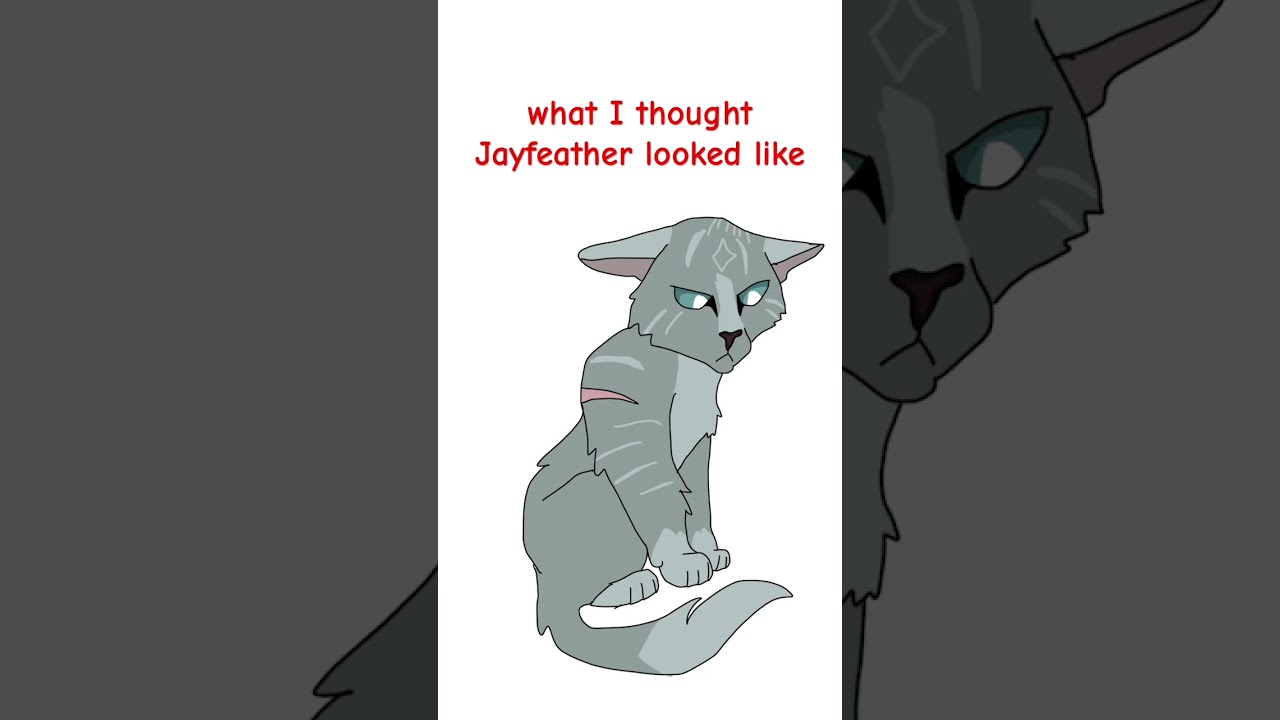 What I thought warrior cats looked like part 1 #warriorcats #jayfeather #hollyleaf