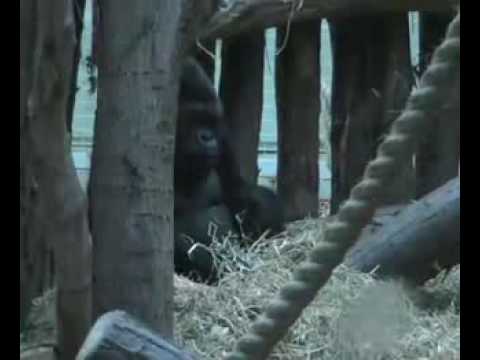 The Clouds - AS MEDIA STUDIES - Short Childrens Programme Introduction - Reigate College