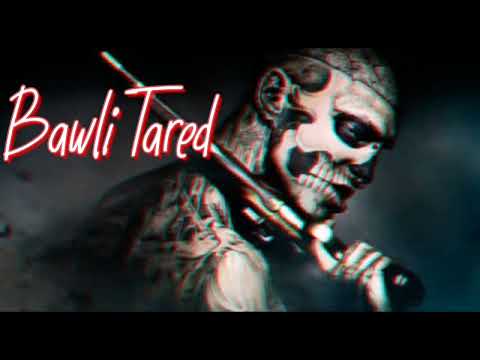 Bawli Tared || lofi ~ slowed & reverbed || Sumit Goswami