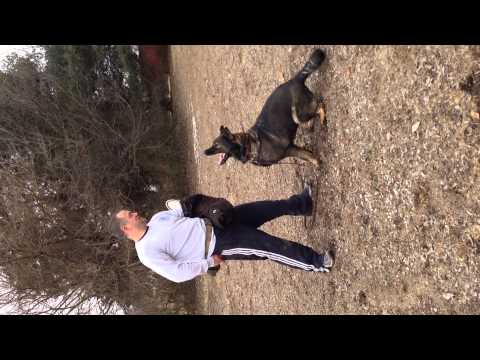 Stela Leryka bite work