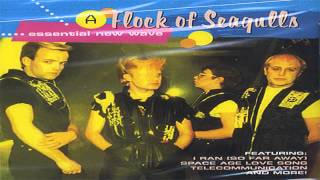 a flock of seagulls - over my head