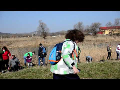 Plantăm în Mureș!